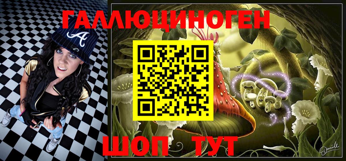 Псилоцибиновые грибы Psilocybine cubensis Кудрово