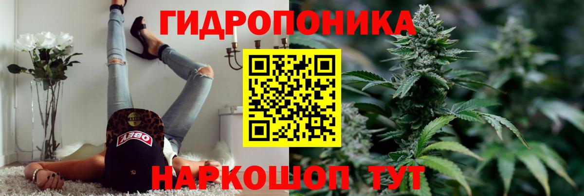 Бошки Шишки гибрид Кудрово